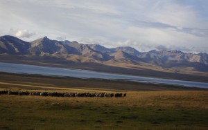 son-kul 